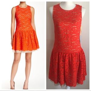 NWT CeCe by Cynthia Steffe Vika Lace Dress Size 2